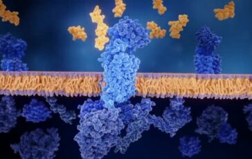 featured 3602638 364x230