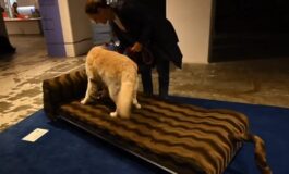 featured 3602671 265x160