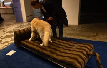 featured 3602671 364x230