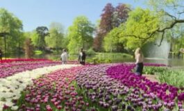 featured 3602778 265x160