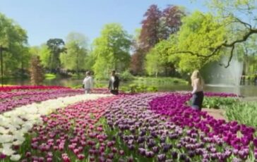 featured 3602778 364x230