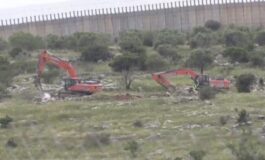 featured 3603396 265x160