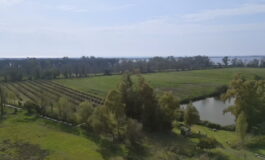 featured 3603451 265x160