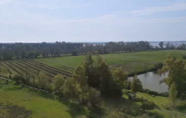 featured 3603451 364x230