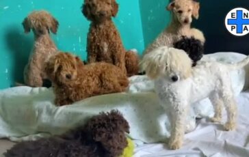 featured 3603639 364x230