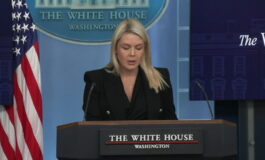 featured 3603836 265x160