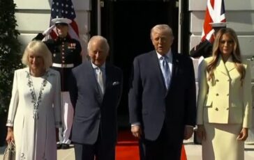 featured 3603858 364x230