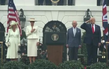 featured 3604187 364x230