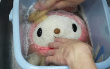 featured 3604392 364x230