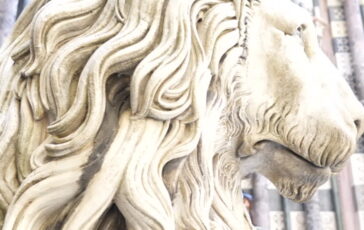 featured 3604489 364x230