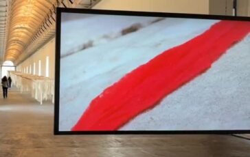 featured 3604755 364x230