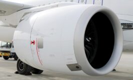 Incidente aereo Sandro Veronesi