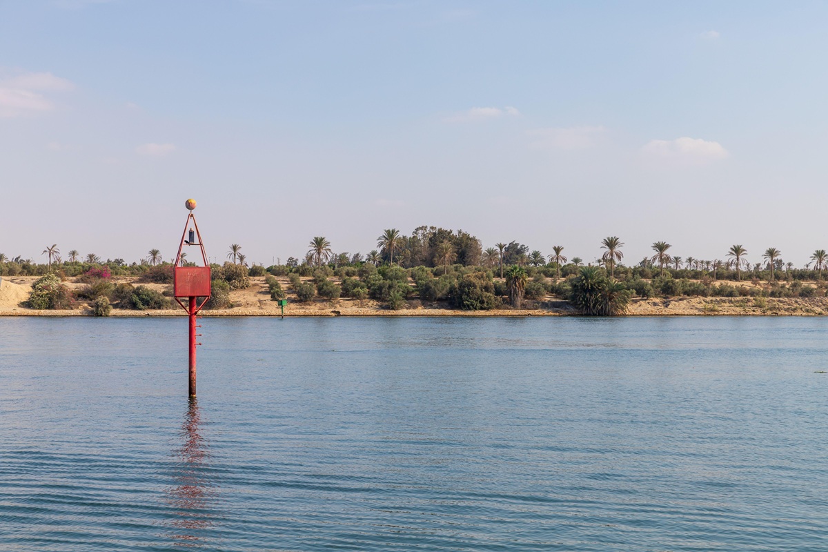 Inquinamento da cocaina: gli effetti devastanti sui salmoni
