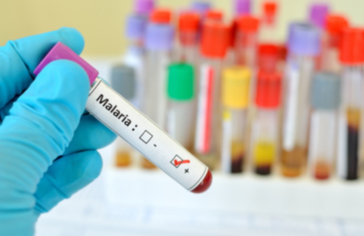 Malaria, OMS dichiara 14 milioni di morti evitate dal 2000