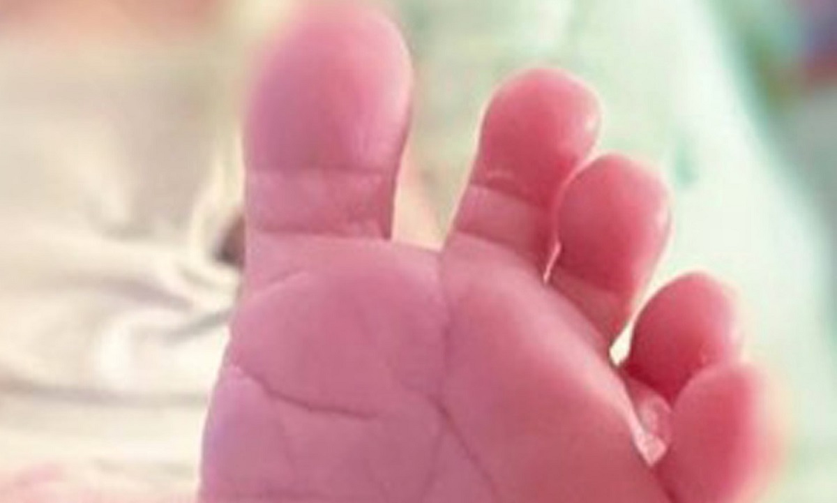 neonato lasciato nella culla per la vita