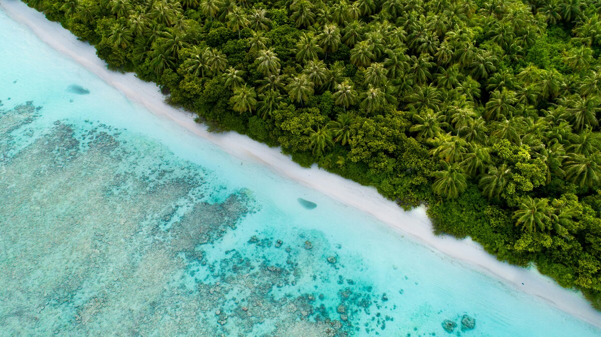 https://static.adhubmedia.com/notizie_it/wp-content/uploads/2026/04/spiagge-piu-belle-del-mondo-2026-9595ab47.jpg