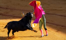 incornato toro arena