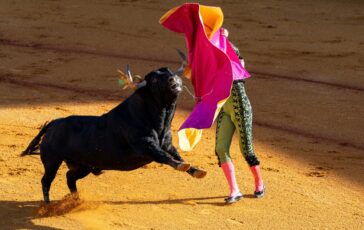 incornato toro arena