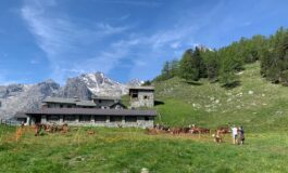 whatsapp image 2026 03 06 at 093221 265x160