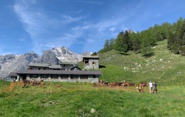 whatsapp image 2026 03 06 at 093221 364x230