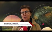 agricoltura forattini pd per il futuro guardare alleuropa 2