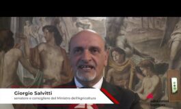 Agricoltura Salvitti Masaf ‘studio fondamentale per porre basi legislative 265x160