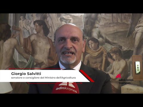 Agricoltura: Salvitti (Masaf), ‘studio fondamentale per porre basi legislative’