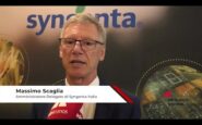 agricoltura scaglia syngenta abbiamo gia soluzioni innovative per gli agricoltori 2