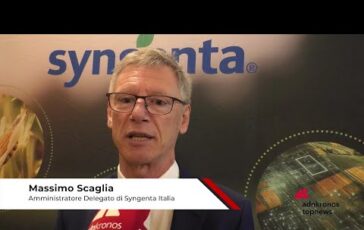 Agricoltura Scaglia Syngenta ‘abbiamo gia soluzioni innovative per gli agricoltori 364x230