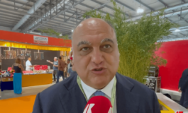Artigiano in Fiera Calabrese Regione Calabria In Anteprima destate la nostra storia 265x160