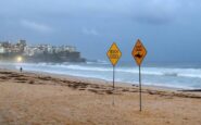 australia uomo muore dopo attacco di squalo al largo di perth 2