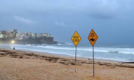 Australia uomo muore dopo attacco di squalo al largo di Perth 265x160