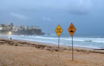 Australia uomo muore dopo attacco di squalo al largo di Perth 364x230