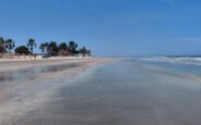 bimbi al mare 164 spiagge scelte dai pediatri ecco le bandiere verdi del 2026 2