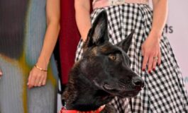 Cannes il cane Yuri vince la Palm Dog e la star del film La Perra 265x160