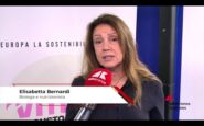 carne vitello bernardi nutrizionista ottimale per bambini e anziani 2