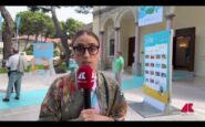 cartoons on the bay celebra don daglow la leggenda dei videogiochi 2