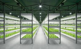 Cristalfarma prosegue gli investimenti sui suoi integratori avanzati e rafforza quelli sul vertical 265x160