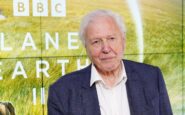 david attenborough compie 100 anni e riceve un regalo speciale dal museo di storia naturale 2