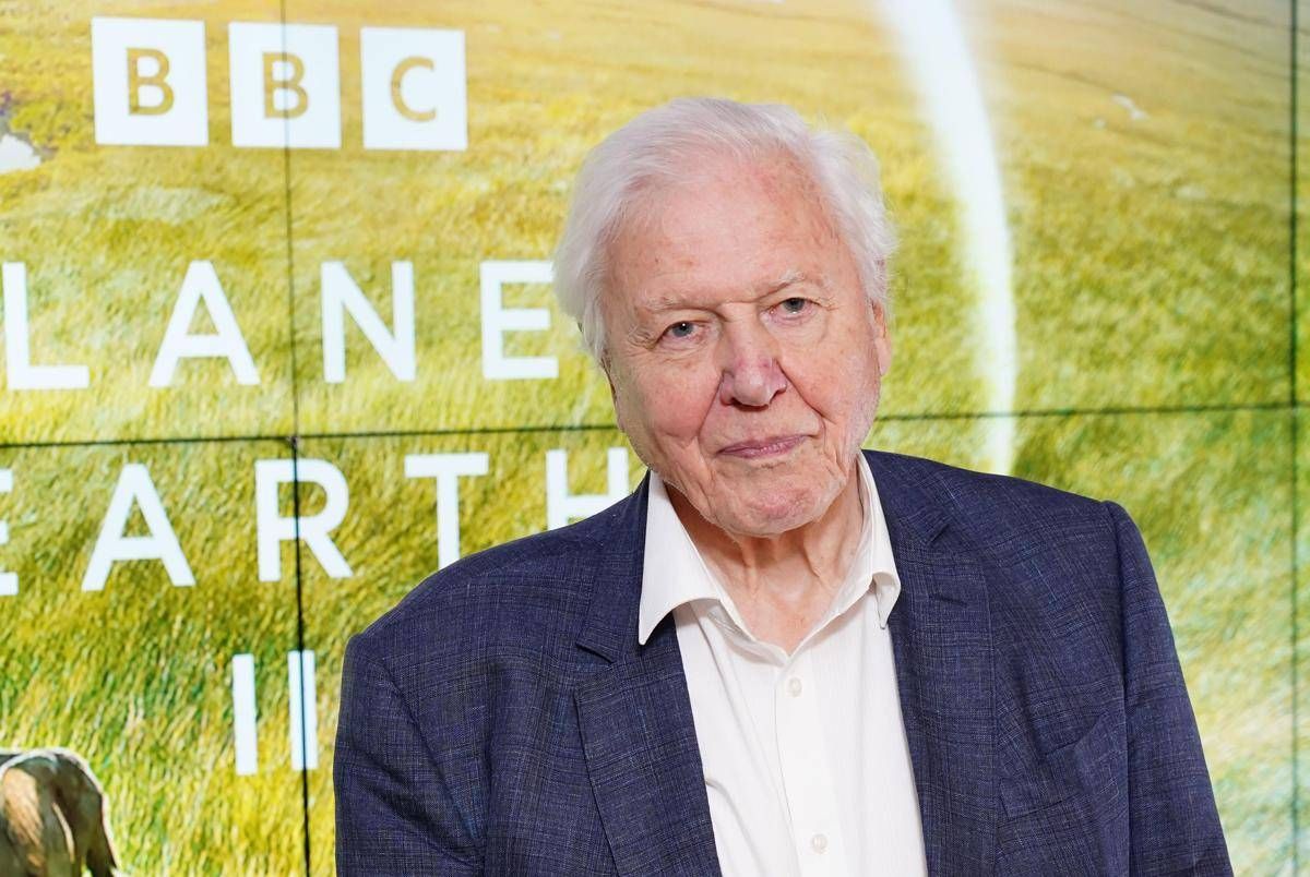 David Attenborough compie 100 anni e riceve un regalo speciale dal Museo di Storia Naturale