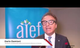 Educazione finanziaria Damiani ‘obiettivo renderla materia autonoma nelle scuole 265x160