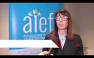 educazione finanziaria ghinfanti alleanza giovani sotto quota 51 su 100 nelledufin index 2