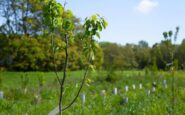 energia green solidarieta e rigenerazione 293 progetti di csr 2