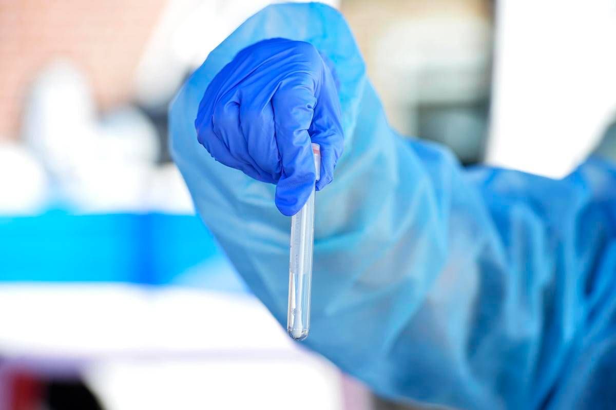 Hantavirus, il punto: contagio e sintomi, cosa c'è da sapere e come proteggersi