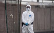 hantavirus lesperta non si rischia nuova pandemia piu letale ma diverso da covid 2