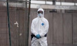Hantavirus lesperta Non si rischia nuova pandemia piu letale ma diverso da Covid 265x160