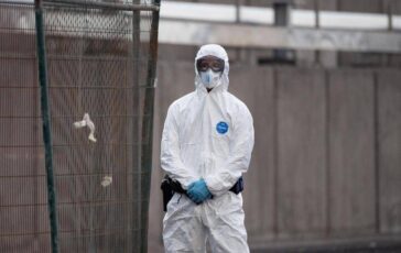 Hantavirus lesperta Non si rischia nuova pandemia piu letale ma diverso da Covid 364x230