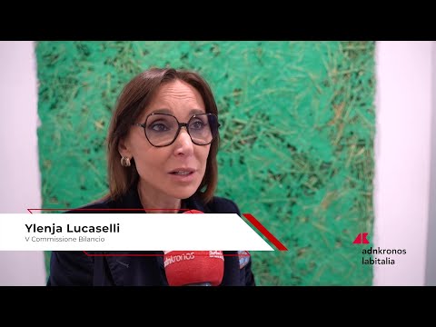 Impresa: Lucaselli (FI), 'Competenze manageriali decisive per competitività e sviluppo delle