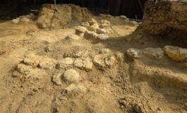 In Francia trovate oltre 100 uova di dinosauro hanno 72 milioni di anni 265x160