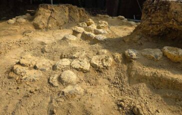 In Francia trovate oltre 100 uova di dinosauro hanno 72 milioni di anni 364x230